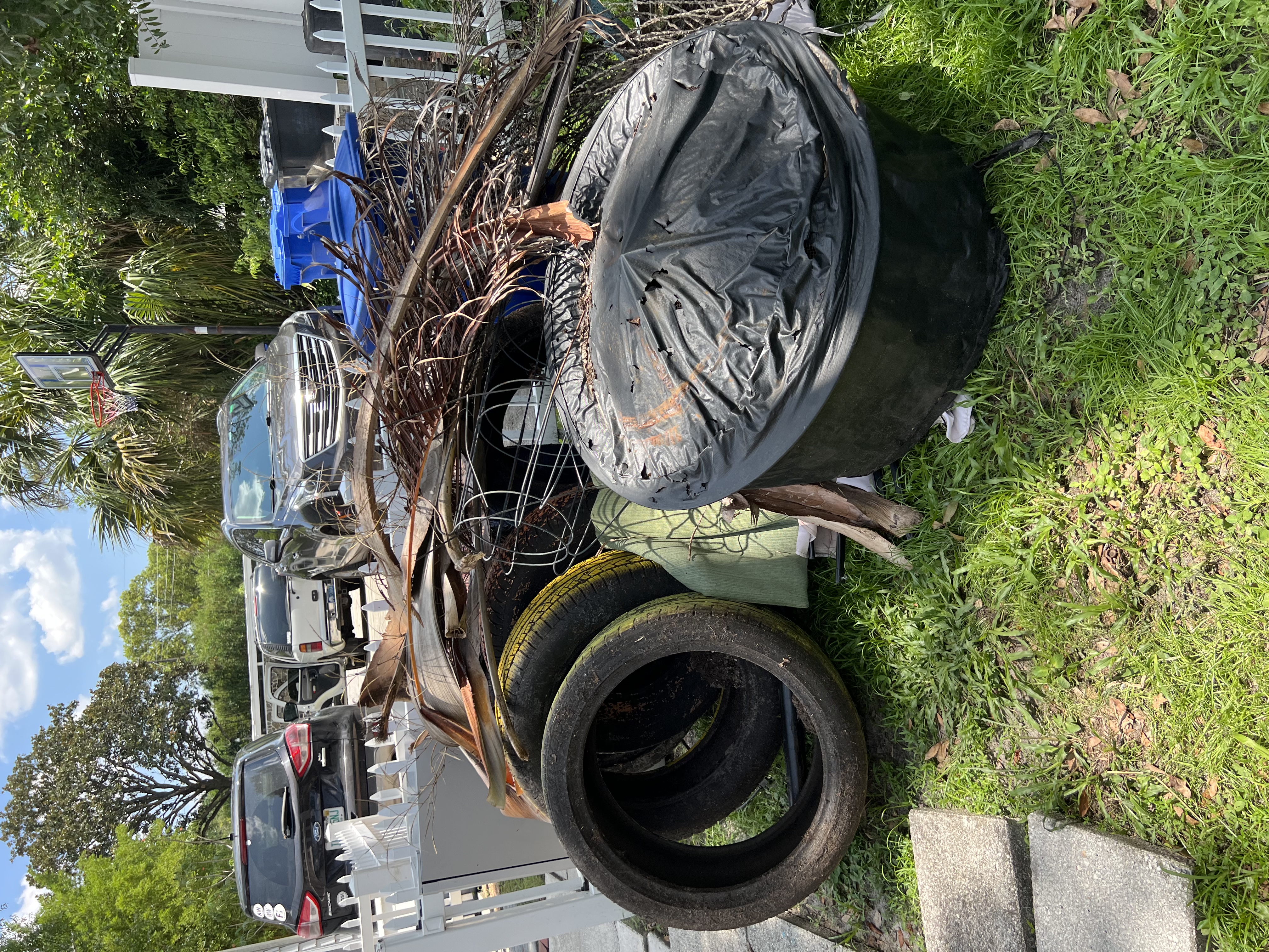 Before junk removal
